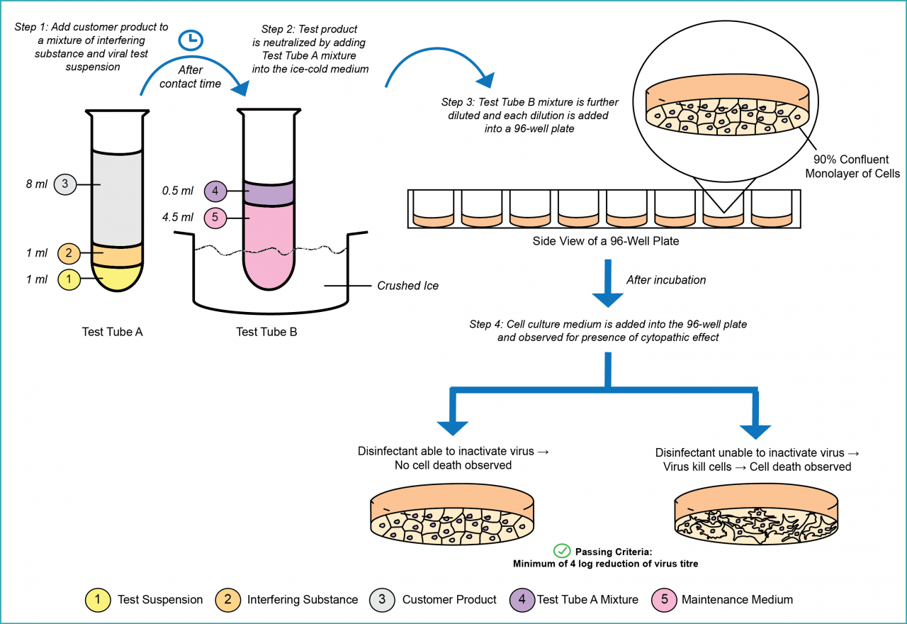 Infographic of EN 14476 - Quantitative suspension test for the evaluation of virucidal activity in the medical area.