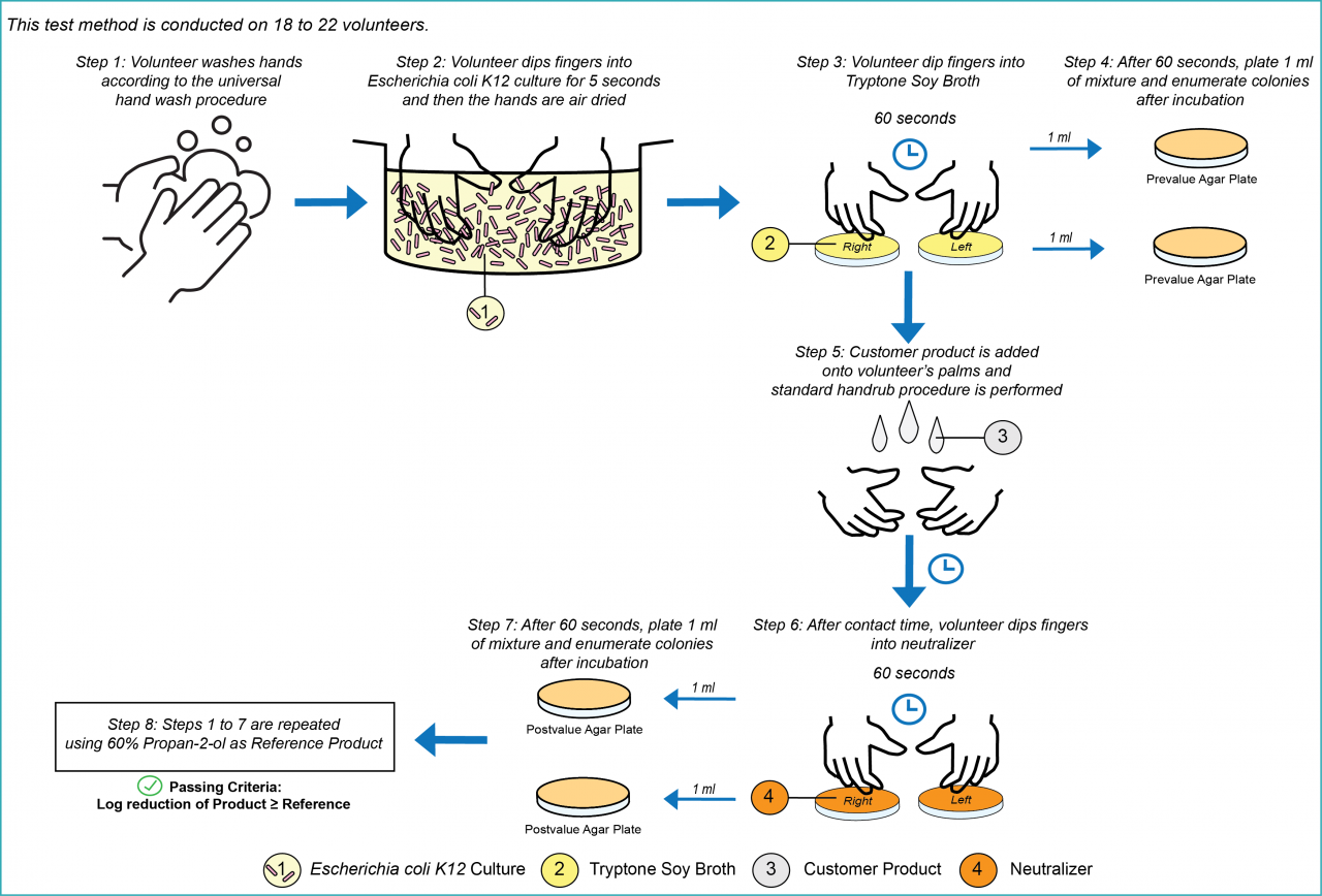 Infographic of EN 1500 - Hygienic handrub.