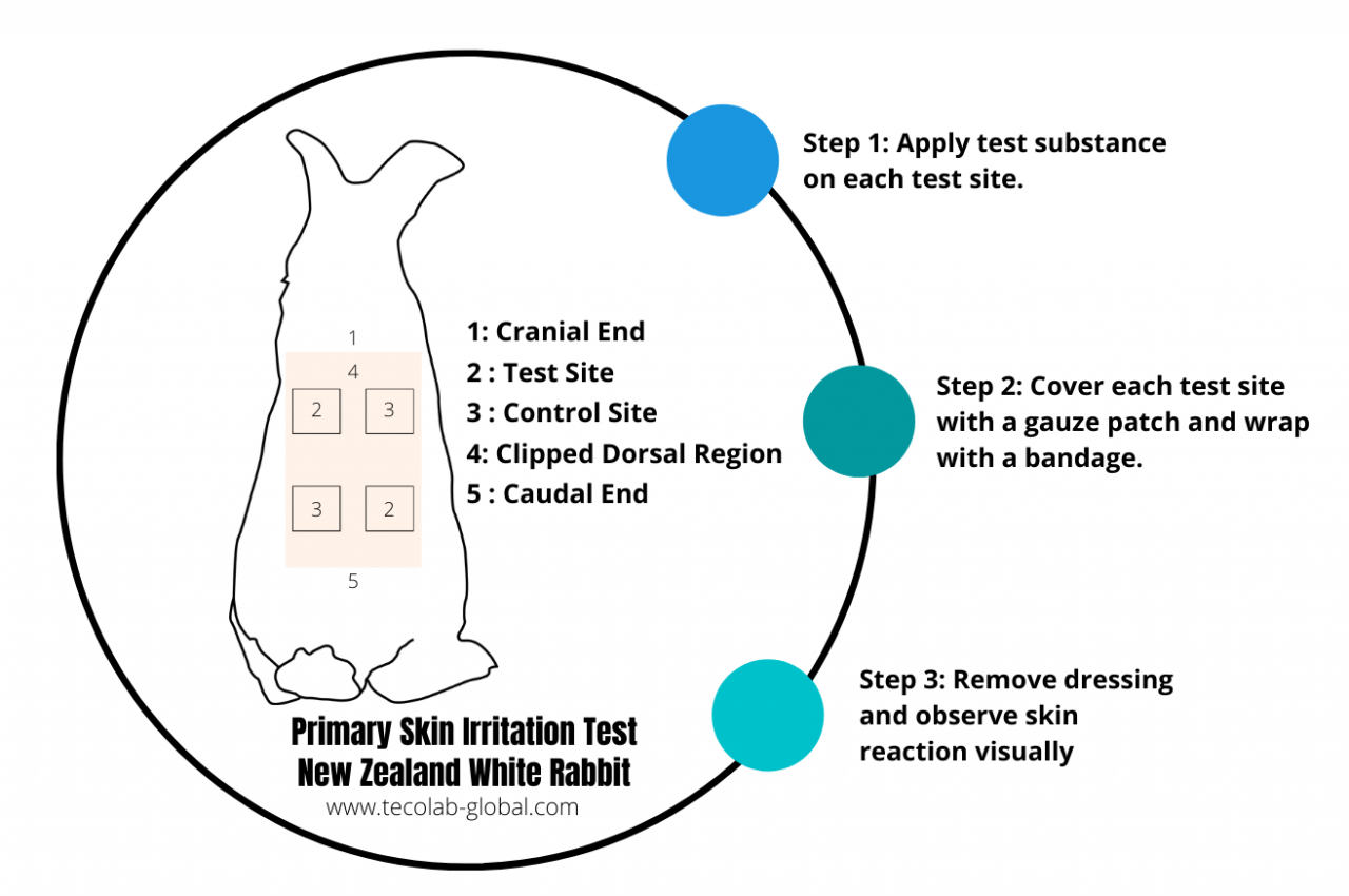 Biocompatibility Testing With TECOLAB TECOLAB