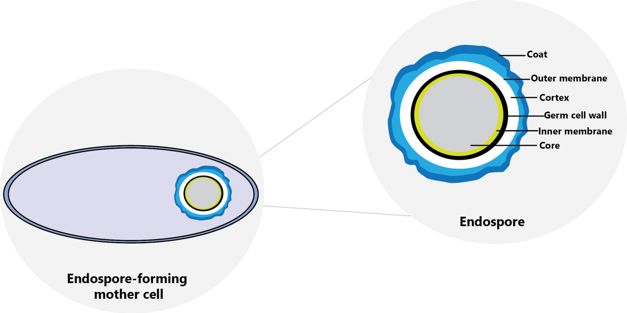 Resistance of against Disinfectants TECOLAB