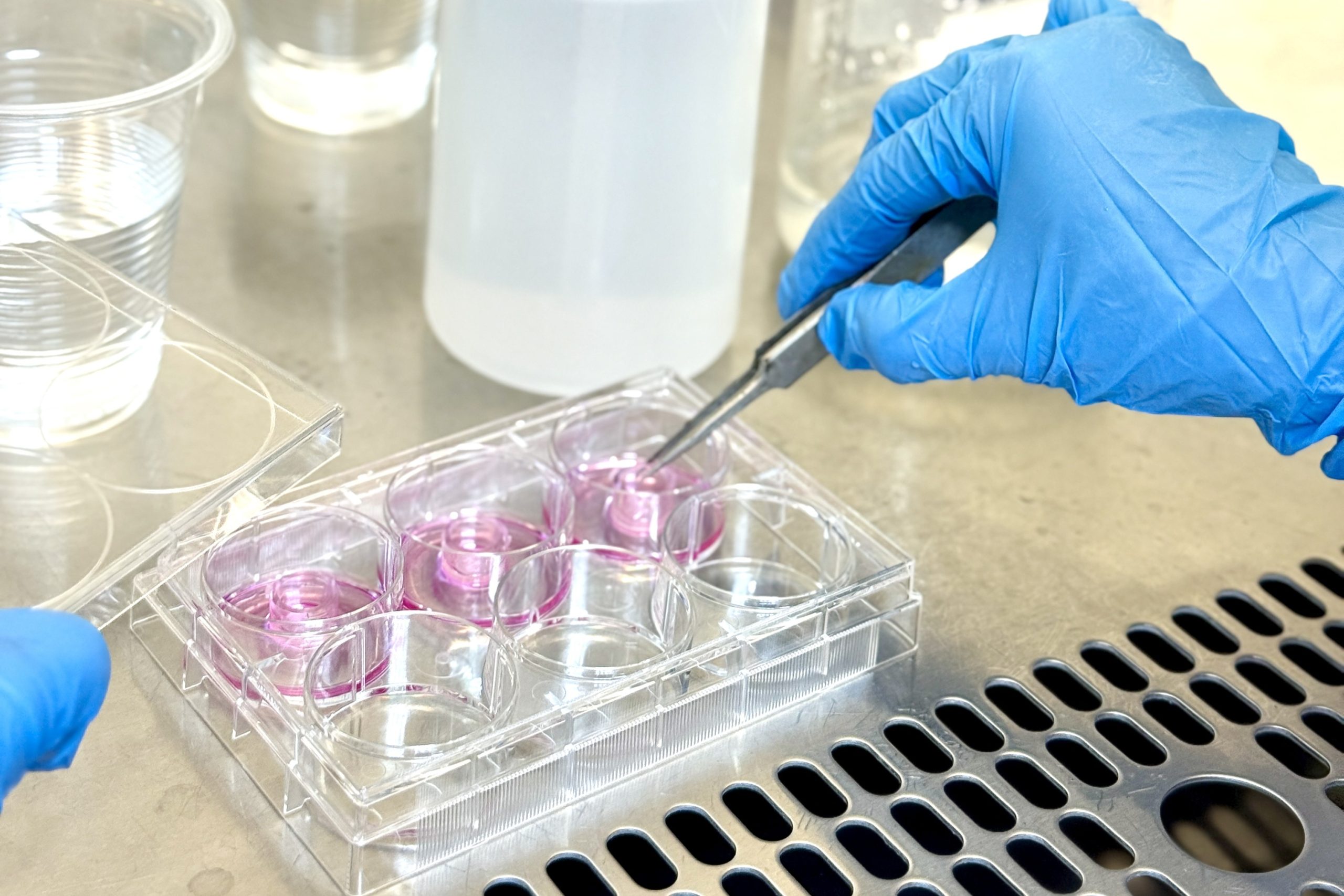 Biocompatibility Test