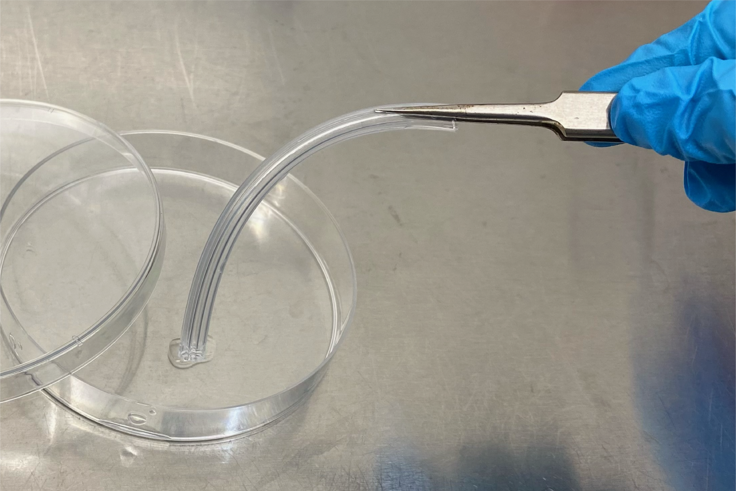 Cleaning Validation